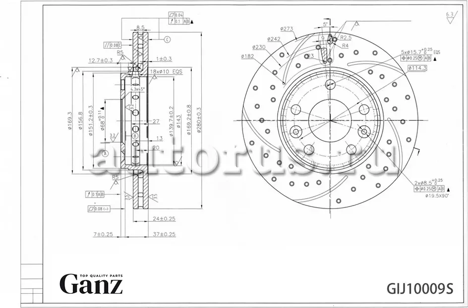 Диск тормозной передний перфорированный PRO-Line с покрытием RENAULT Duster/Mega (Ganz). Артикул GIJ10009S