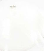 Расширительный бачок BSG. Артикул BSG 90-550-010