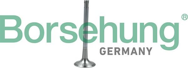 Выпускной клапан Borsehung. Артикул B19011