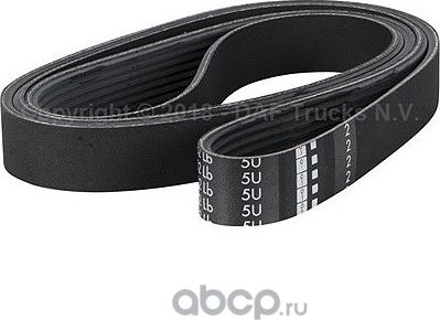 Приводной ремень поликлиновой DAF. Артикул 1812162