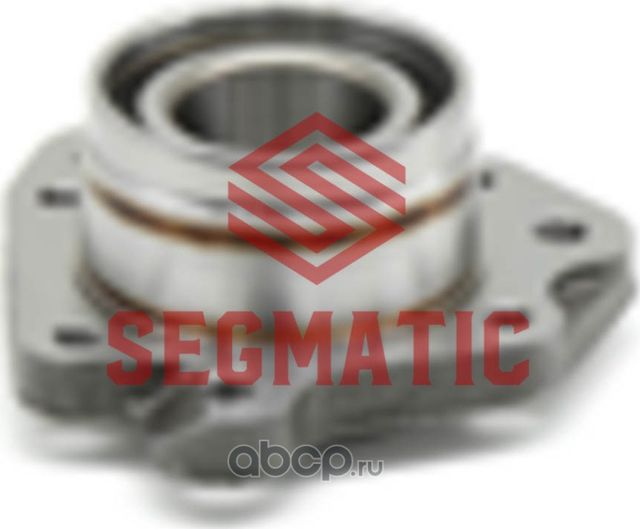 Ступица колеса (Segmatic). Артикул SGWH30204068