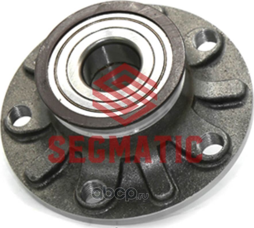 SGWH30204116 Ступица колеса в сборе зад VW Magotan, B6, B7 (Segmatic). Артикул SGWH30204116