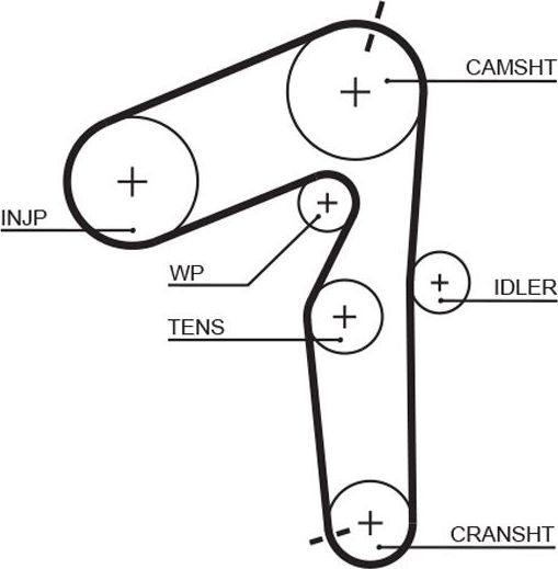 Ремень ГРМ Gates PowerGrip® для Lancia Musa I 2004-2012. Артикул 5500XS