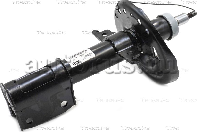 Амортизатор Renault передний для Renault Megane III 2008-2016. Артикул 543020017R