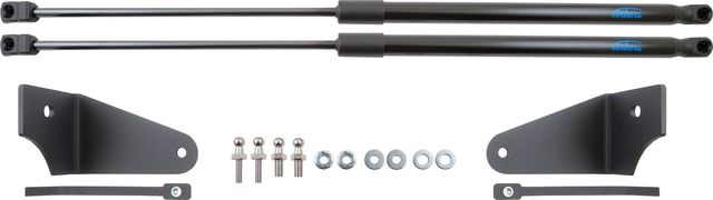 Амортизаторы (упоры) капота Arbori для Nissan X-Trail III рестайлинг 2018-2026. Артикул ARBORI.HD.030101