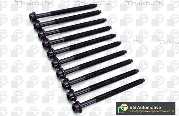 Комплект болтов ГБЦ BGA для Volvo S40 II 2005-2012. Артикул BK5323