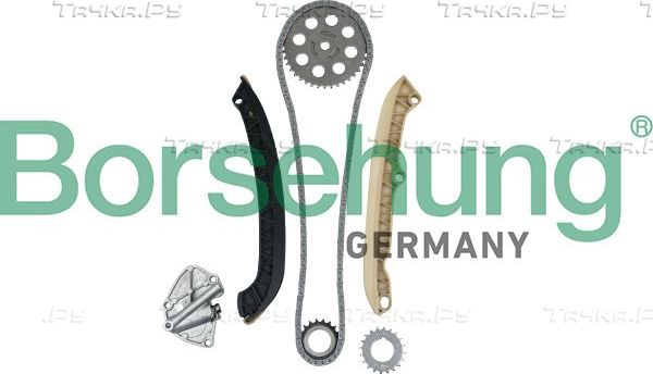 Цепь ГРМ Borsehung для Volkswagen Polo IV 2002-2009. Артикул B16294