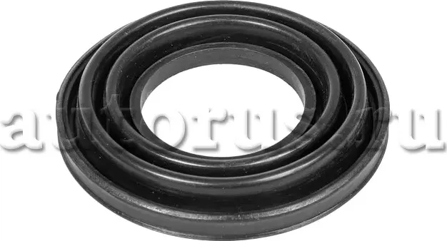 Ремкомплект суппорта (Ganz). Артикул GUR38045