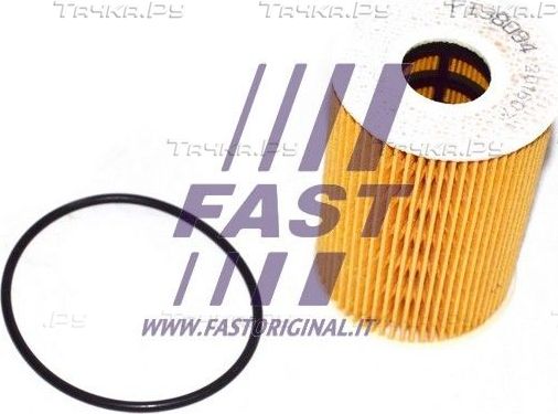 Масляный фильтр Fast для Nissan Cabstar F24M, F24W 2006-2013. Артикул FT38094