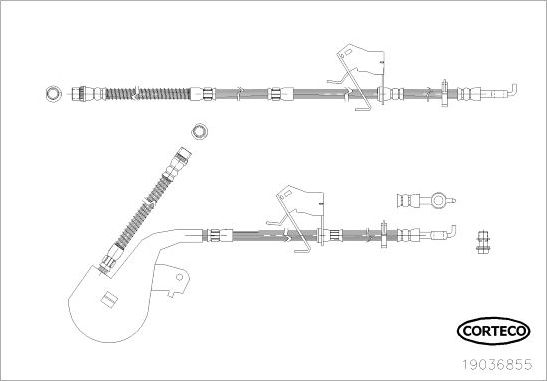 Тормозной шланг Corteco. Артикул 19036855