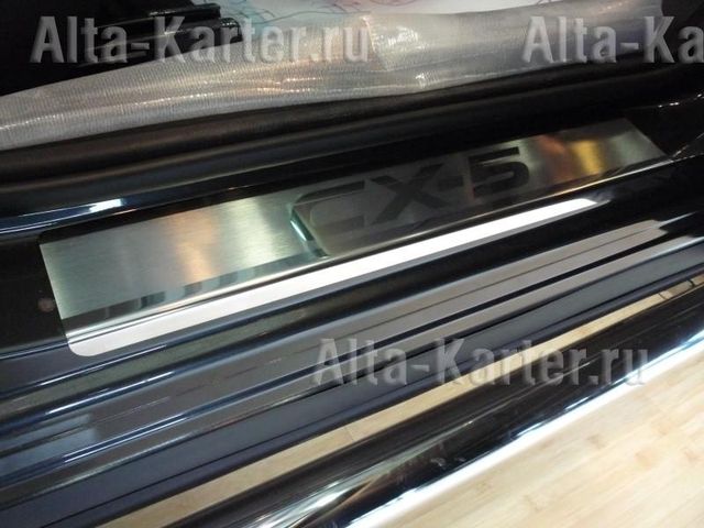 Накладка Союз-96 на внутренние пороги (с рисунком) для Lada Xray I 2015-2026. Артикул LXRA.31.7133