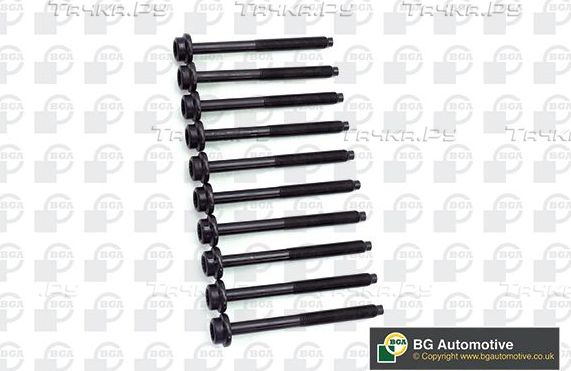 Комплект болтов ГБЦ BGA для SEAT Altea I 2007-2015. Артикул BK2394