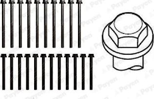 Комплект болтов ГБЦ Payen для Renault Master II 1998-2001. Артикул HBS011