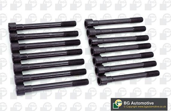 Комплект болтов ГБЦ BGA для Nissan Patrol Y60 1986-1997. Артикул BK6388