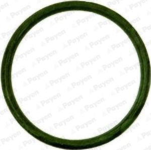 Прокладка впускного коллектора Payen для Citroen Saxo 2000-2003. Артикул JD538