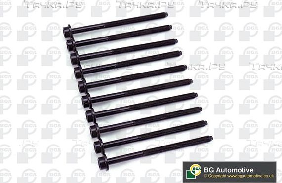 Комплект болтов ГБЦ BGA для SEAT Toledo II 2000-2002. Артикул BK4301