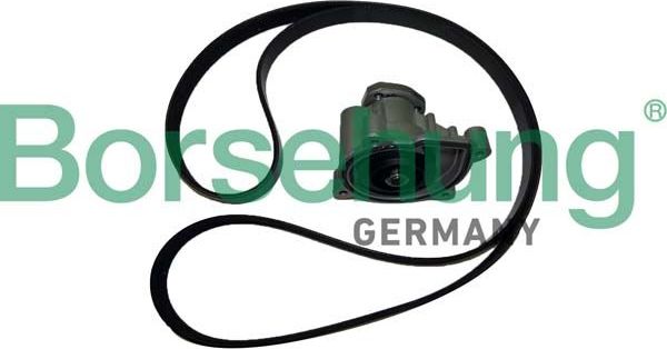 Помпа (водяной насос) Borsehung. Артикул B11215