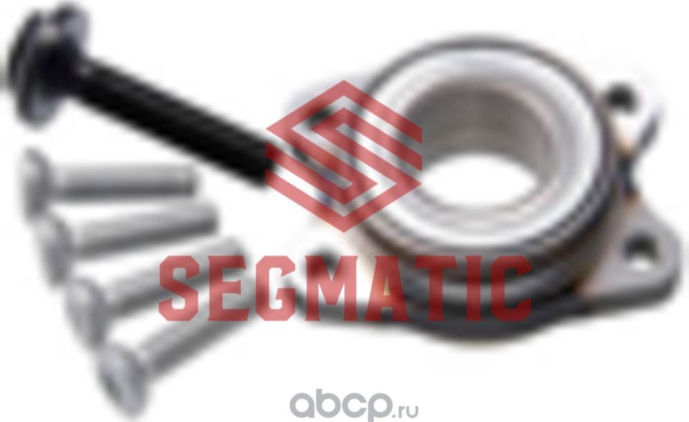 Ступица колеса (Segmatic). Артикул SGWH30204064