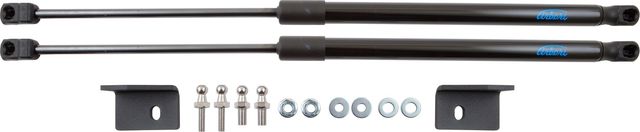 Амортизаторы (упоры) капота Arbori для Nissan Qashqai J11 2019-2026. Артикул ARBORI.HD.030102