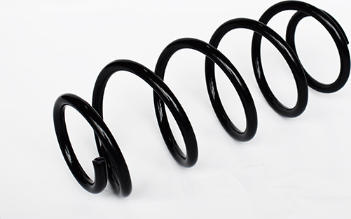 Пружина подвески ASAM. Артикул 73735