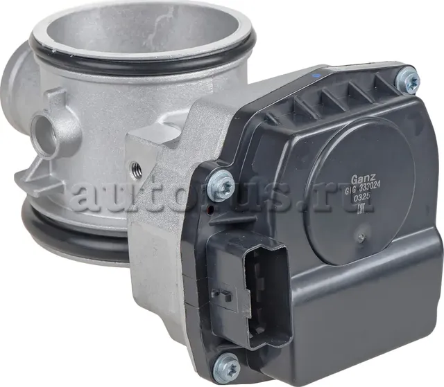 Дроссельная заслонка RENAULTMegane kangoo clio laguna GANZ GIG333024 Ganz. Артикул GIG333024