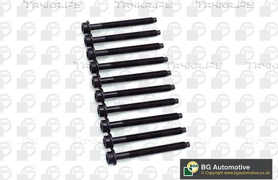 Комплект болтов ГБЦ BGA для Mazda Tribute I 2000-2003. Артикул BK6384