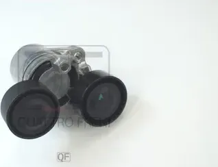 НАТЯЖИТЕЛЬ ПРИВОДНОГО РЕМНЯ В СБОРЕ (Quattro Freni). Артикул QF31P00273