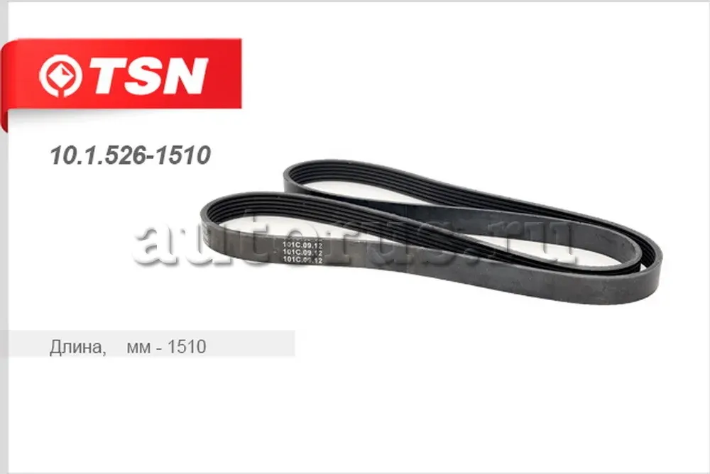 ремень (TSN). Артикул 1015261510