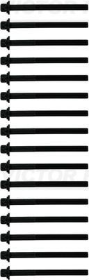 Комплект болтов ГБЦ Victor Reinz для Kia Sorento I 2007-2011. Артикул 14-10597-01