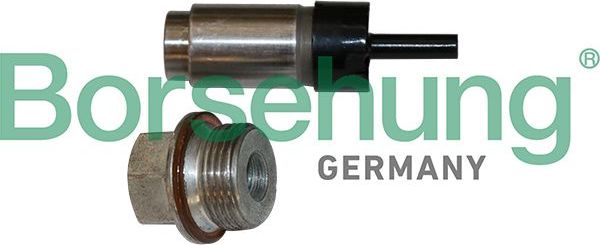 Натяжитель цепи ГРМ Borsehung. Артикул B1T023