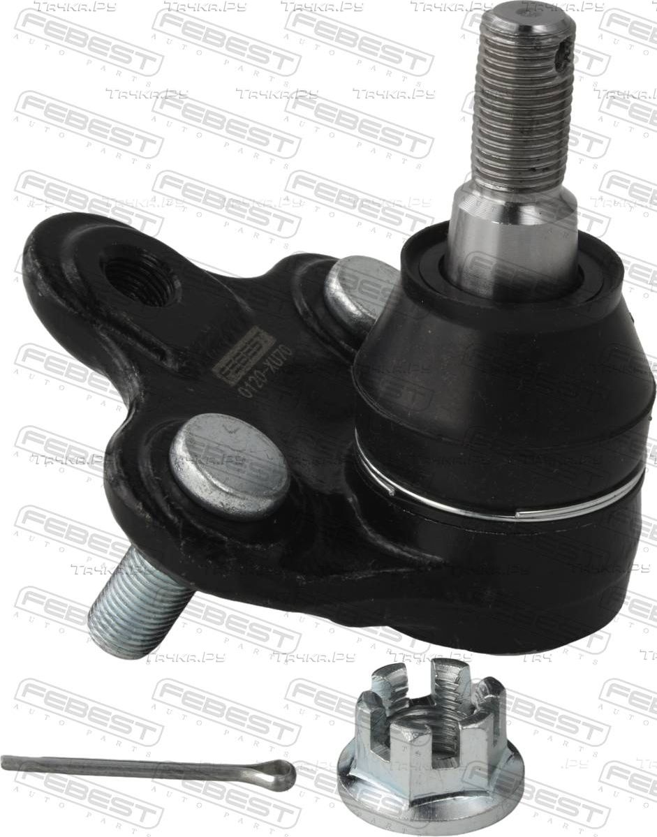 Шаровая опора Febest нижняя для Toyota Highlander IV (U70) 2019-2026. Артикул 0120-XU70