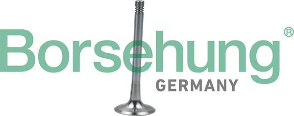Выпускной клапан Borsehung. Артикул B19008