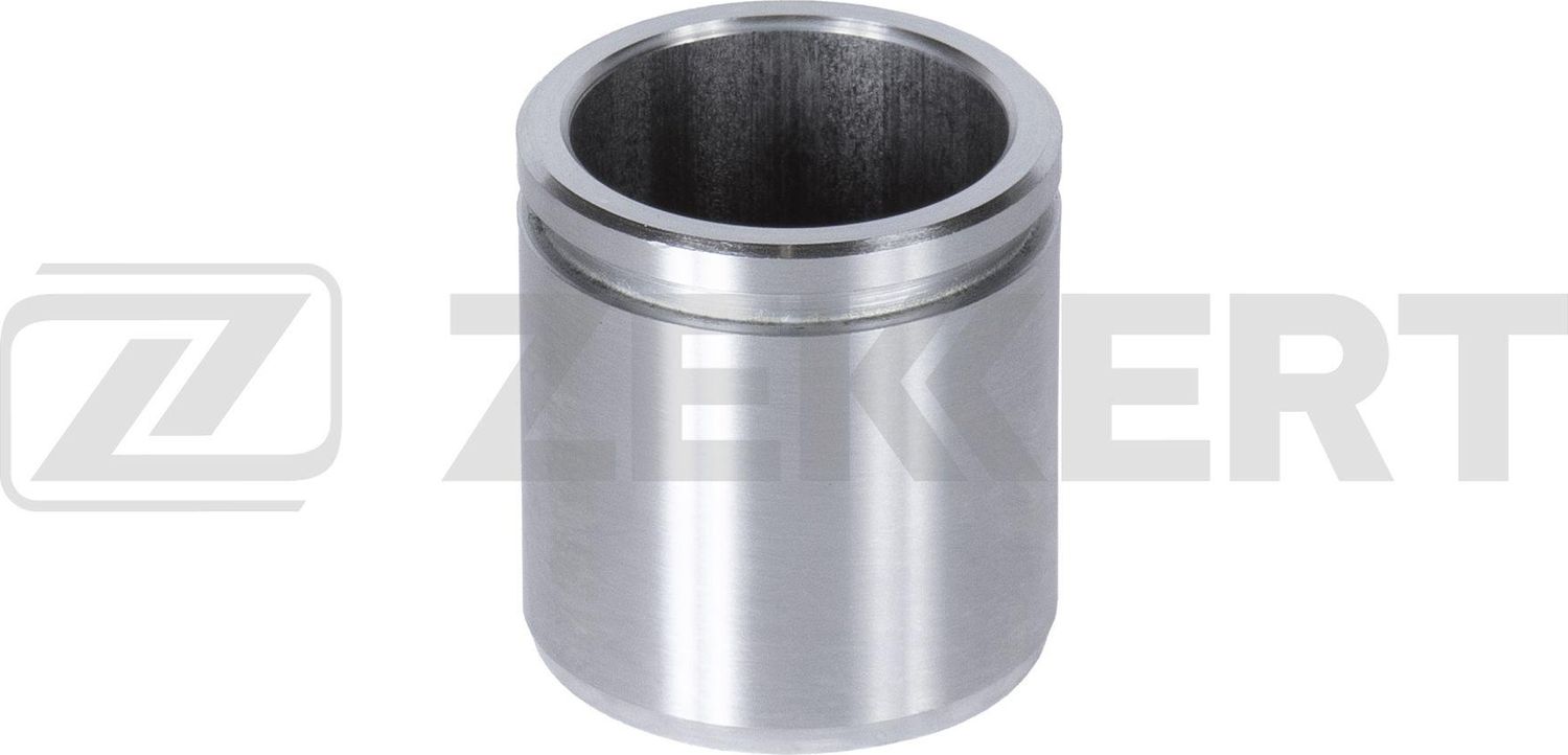 Поршень тормозного суппорта Zekkert. Артикул BR-1565