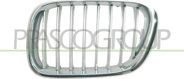 Решетка радиатора Prasco левый для BMW X5 I (E53) 2000-2003. Артикул BM8202014