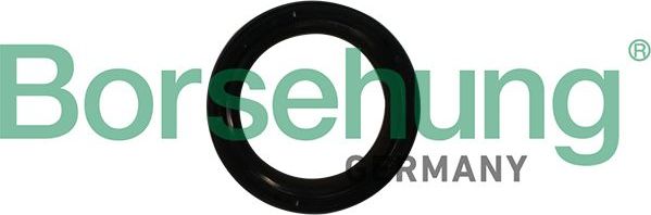 Сальник коленвала Borsehung. Артикул B12179