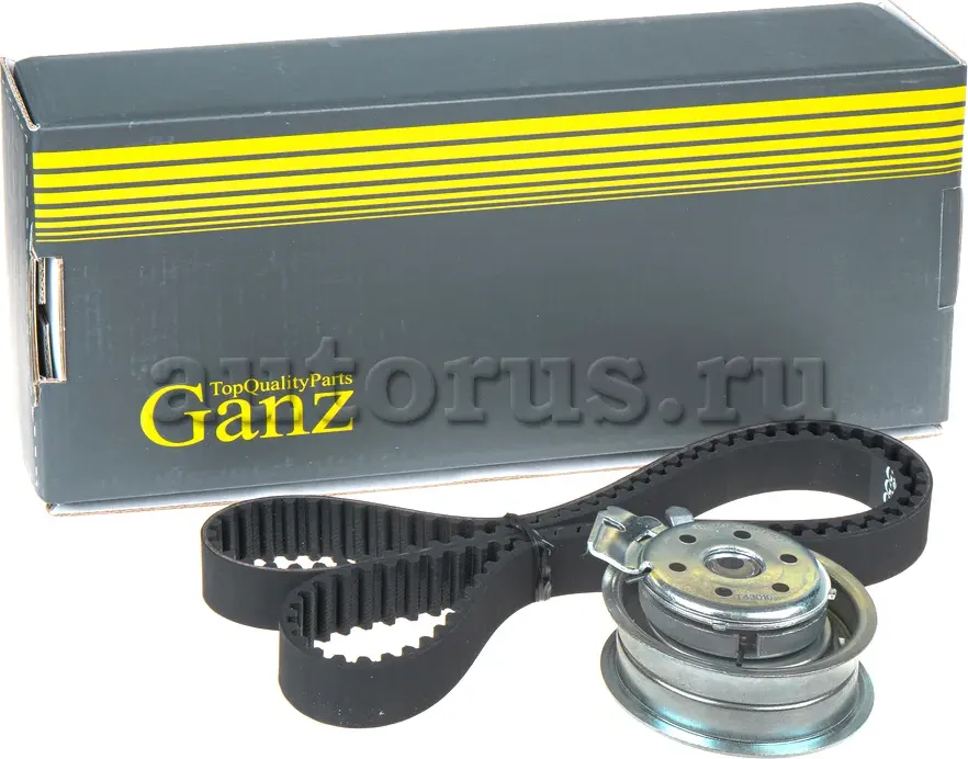 Ремкомплект ГРМ (Ganz) Ganz. Артикул GIE34041