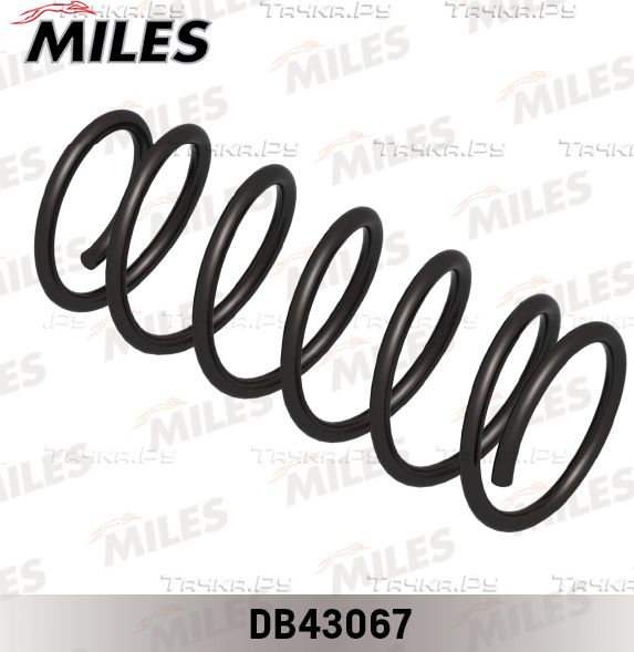 Пружина подвески Miles задняя для Kia Rio II 2005-2011. Артикул DB43067