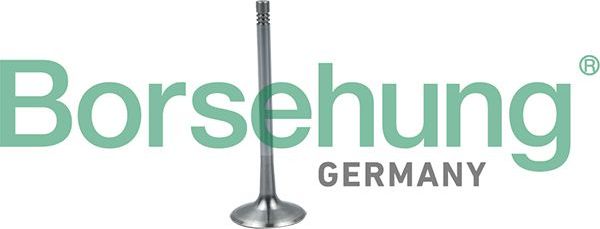 Впускной клапан Borsehung. Артикул B19026