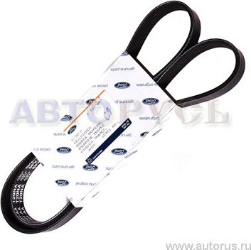 Приводной ремень поликлиновой Ford. Артикул 1731697