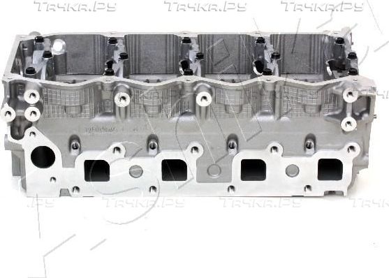 Головка блока цилиндров ASHIKA (алюминий). Артикул NS015S