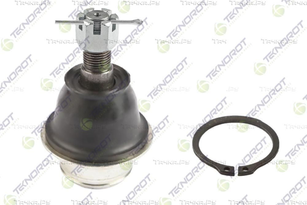 Шаровая опора Teknorot передняя нижняя для Ford Ranger I 1999-2006. Артикул FO-1035