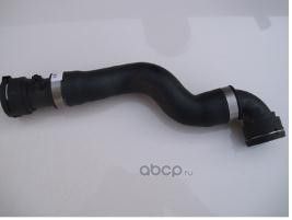 Патрубок радиатора (системы охлаждения) BMW. Артикул 11531705223