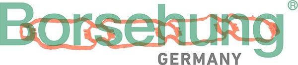 Прокладка впускного коллектора Borsehung. Артикул B13262