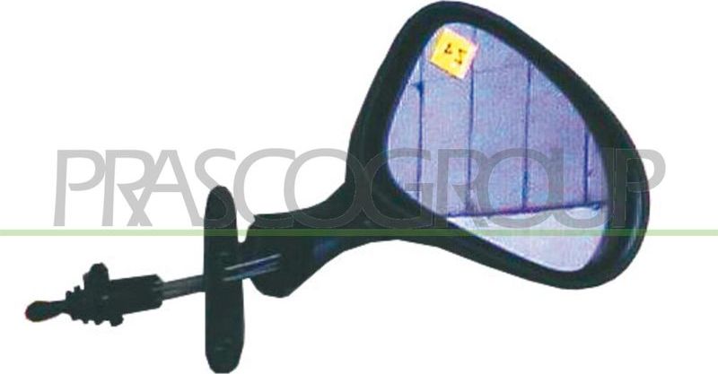 Зеркало боковое Prasco. Артикул DW3207123