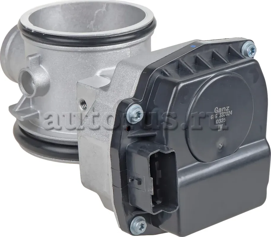 Дроссельная заслонка RENAULTMegane kangoo clio laguna GANZ GIG333024 Ganz. Артикул GIG333024
