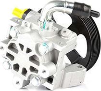 Насос ГУР BSG для Ford Transit Connect I 2002-2013. Артикул BSG 30-355-004