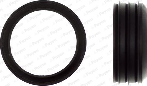 Прокладка, корпус впускного коллектора Payen (резина). Артикул JD6006