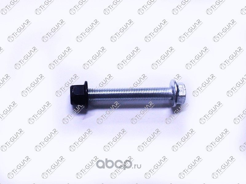 Комплект эксцентрика TG-N10628301 TiGuar (TI-Guar). Артикул TGN10628301