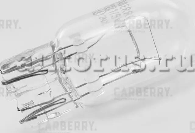 Лампа W21/5W 12V (21/5W) Day&Night (Carberry). Артикул 32CA10