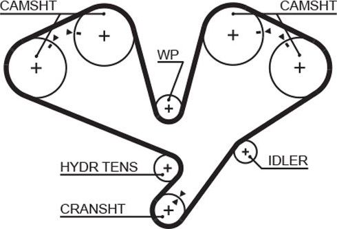 Ремень ГРМ Gates (HNBR (Hydrierter Acryl-Nitril-Butadien-Kautschuk)). Артикул 5659XS